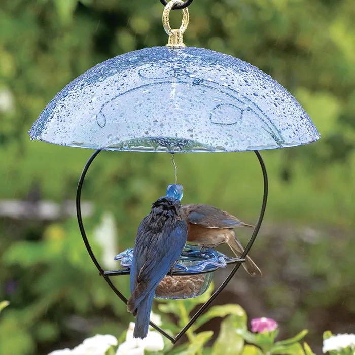 BirdsChoice Bluebird Heart Feeder with Blue Dome