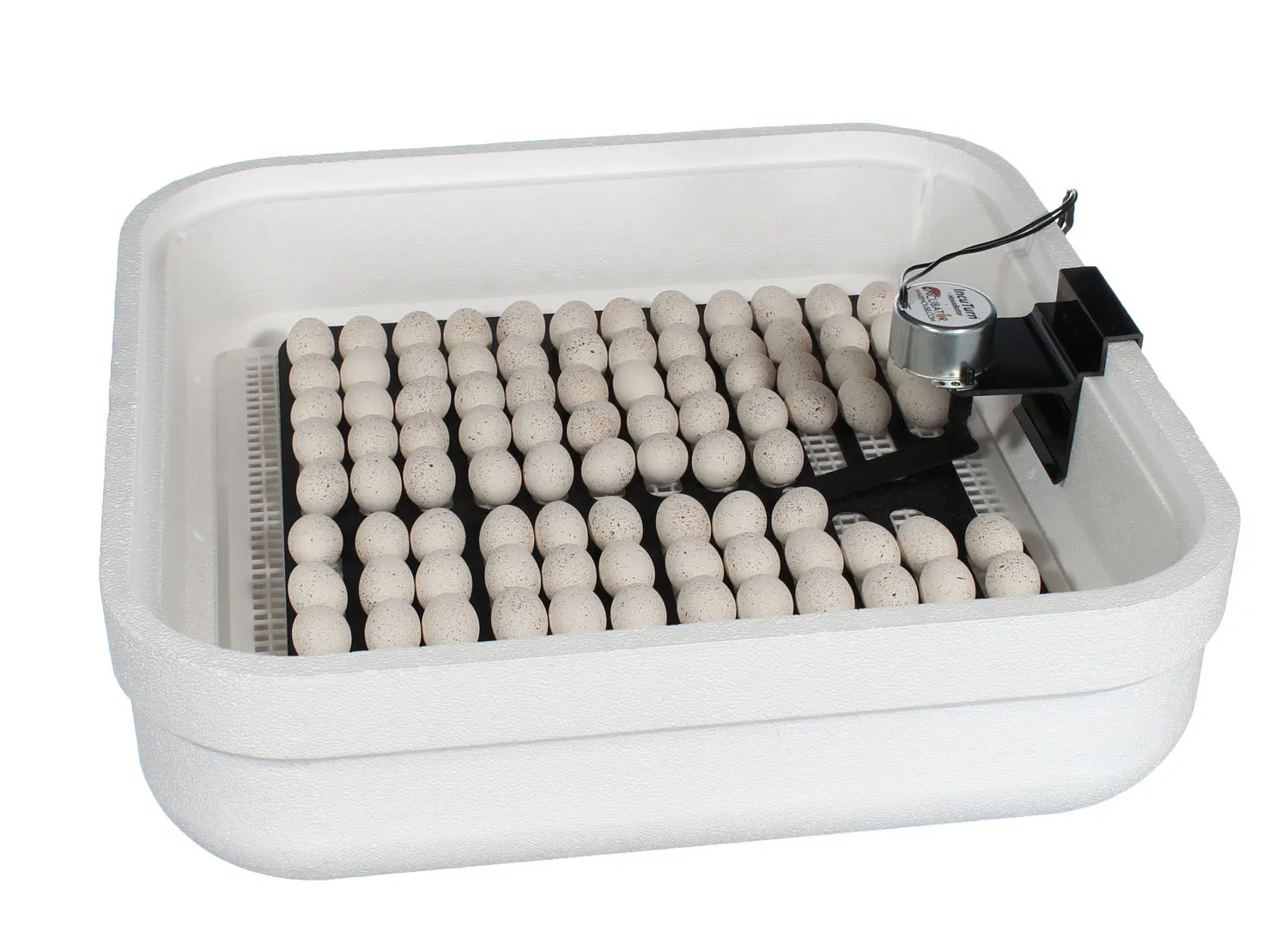 HovaBator Ultimate Egg Incubator & Brooder Combo Kit