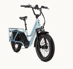 Rad Power Bikes RadWagon 5 Electric Cargo Bike BONUS Battery