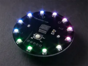 The LED Artist A12 - RGB LED Wearable