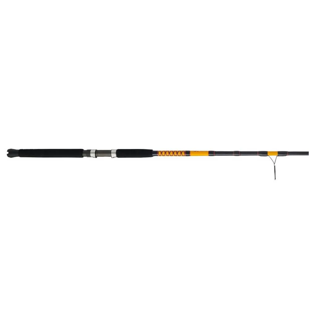 Ugly Stik Bigwater Spinning Rod