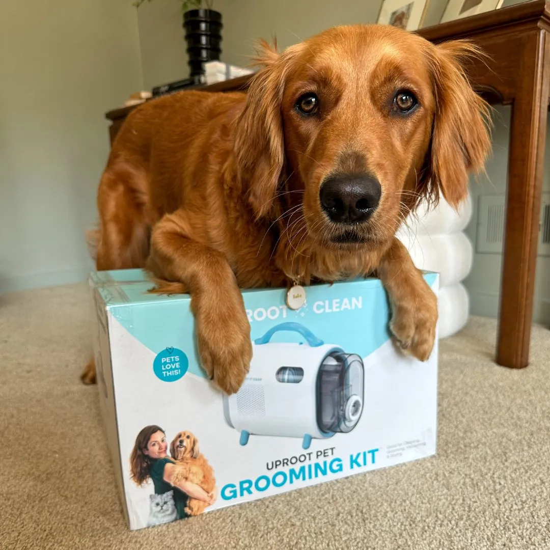 Uproot Pet Grooming Kit