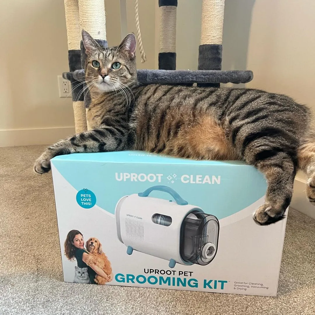 Uproot Pet Grooming Kit